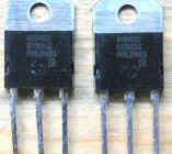 img1.jpg